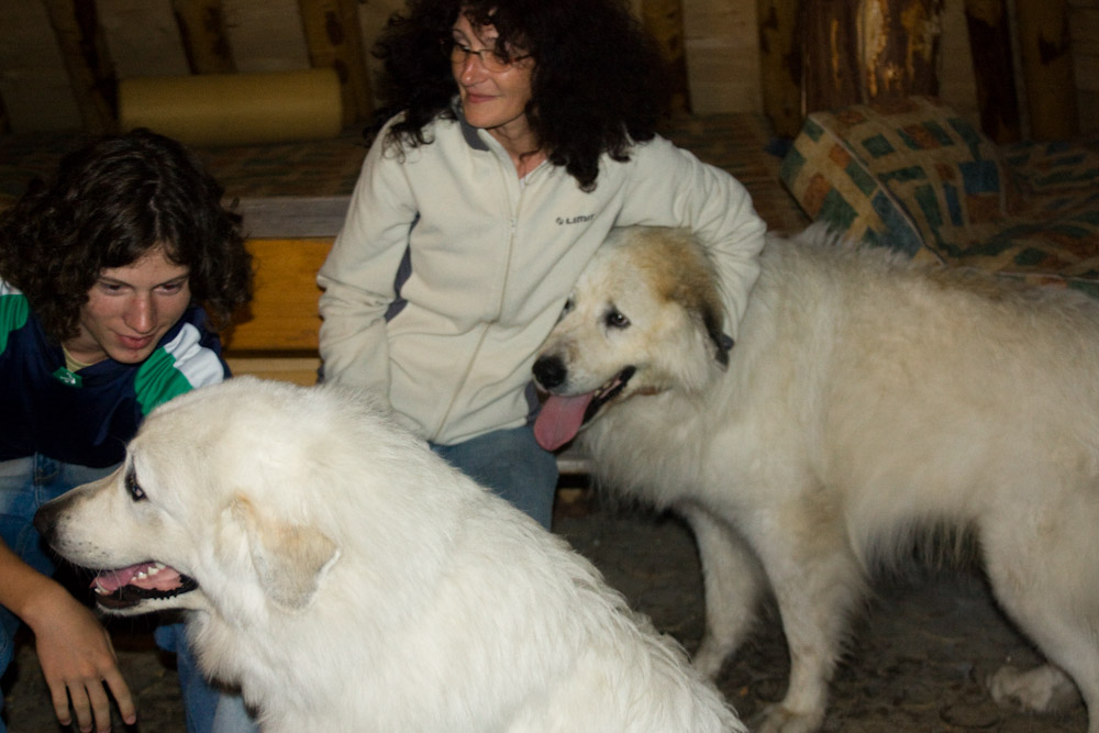 News und Bilder vom Pyrenäenberghund Welpentreffen 2008 - Anouk und Bastian