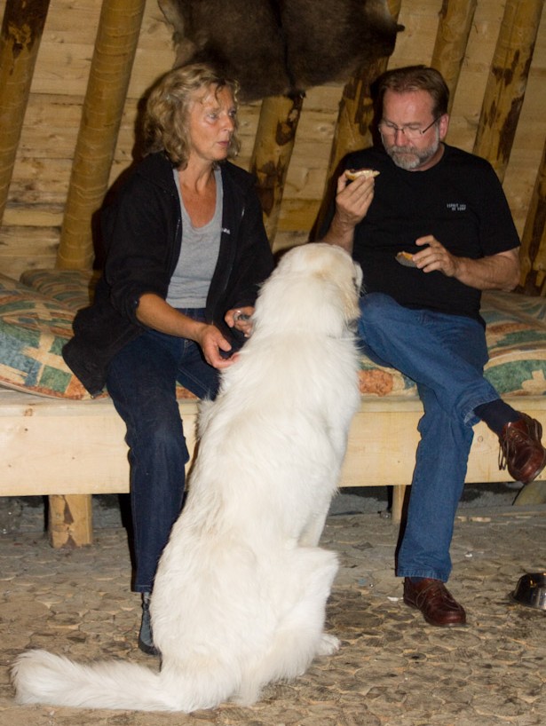 News und Bilder vom Pyrenäenberghund Welpentreffen 2008 - Bougon