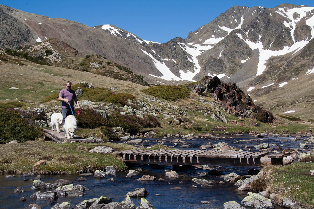 Urlaub mit Pyrenäenberghund Mai/Juni 2011 - Frankreich - Valmanya (am Fuße des Canigou) - Valmanya2