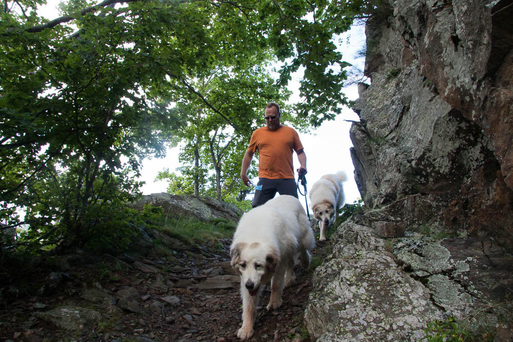 Urlaub mit Pyrenäenberghund Mai/Juni 2011 - Frankreich - Valmanya (am Fuße des Canigou) - Valmanya8