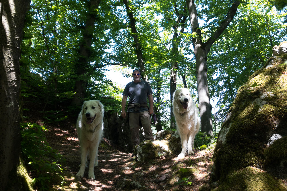 Urlaub mit Pyrenäenberghund - Mai 2020  - Altmühltal11
