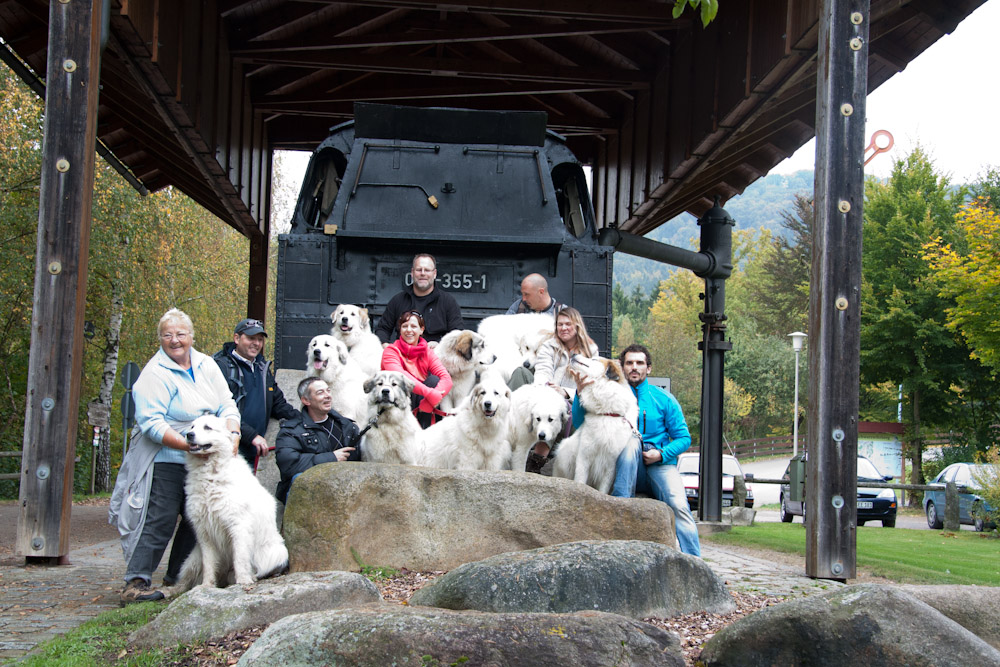News und Bilder vom Pyrenäenberghund Welpentreffen 2010 - Schon wieder schön lächeln