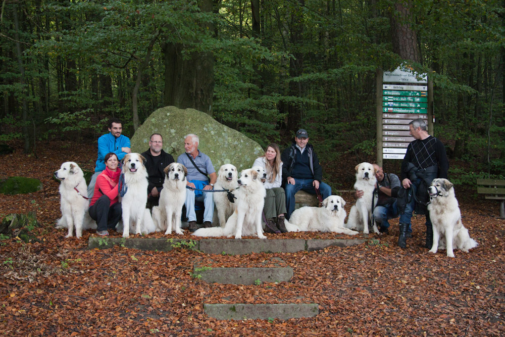 News und Bilder vom Pyrenäenberghund Welpentreffen 2010 - und zum Abschluß nochmal schön lächeln