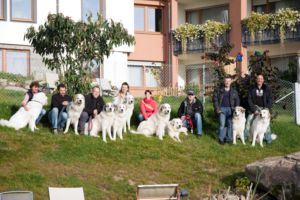 News und Bilder vom Pyrenäenberghund Welpentreffen 2010 - Lächeln fürs Abschiedsfoto