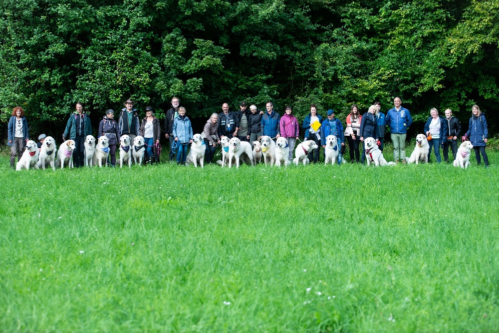 Pyrenäenberghund - 28./29. August 2021 - Hunderallye und Nachzuchtbeurteilung - Gruppenbild