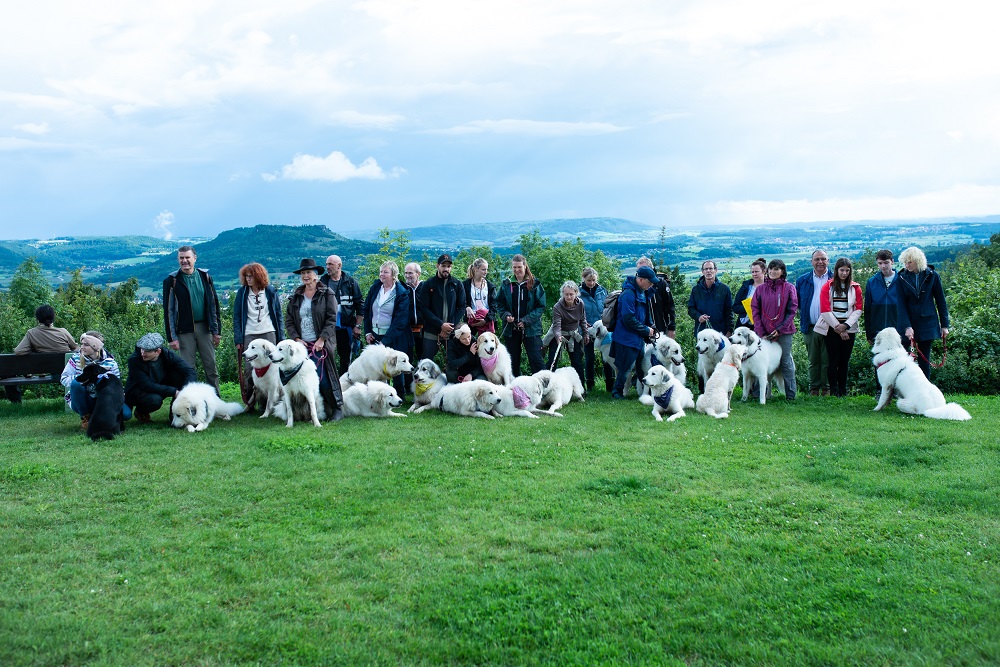 Pyrenäenberghund - 28./29. August 2021 - Hunderallye und Nachzuchtbeurteilung