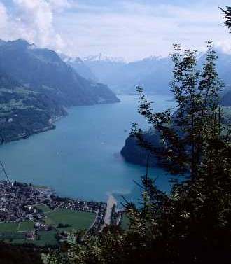 Pyrenäenberghund B-Wurf - Vierwaldstättersee