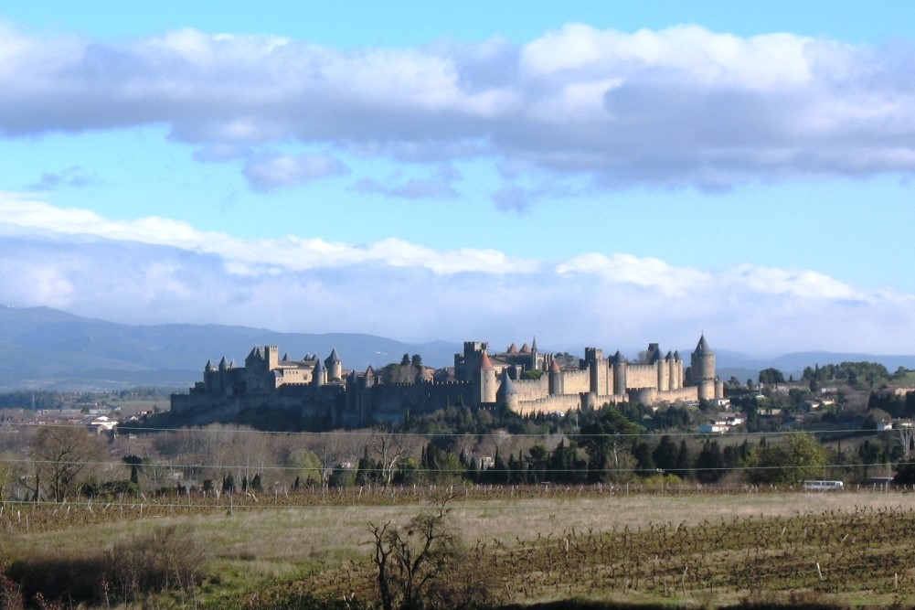 Pyrenäenberghund Héloise du Pic de Viscos - ihre Geschichte - Carcassonne