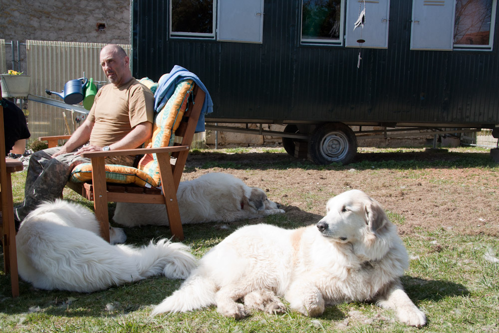 Pyrenäenberghund - Besuch bei Cyrano März 2011 - Eine wacht, der Rest schläft
