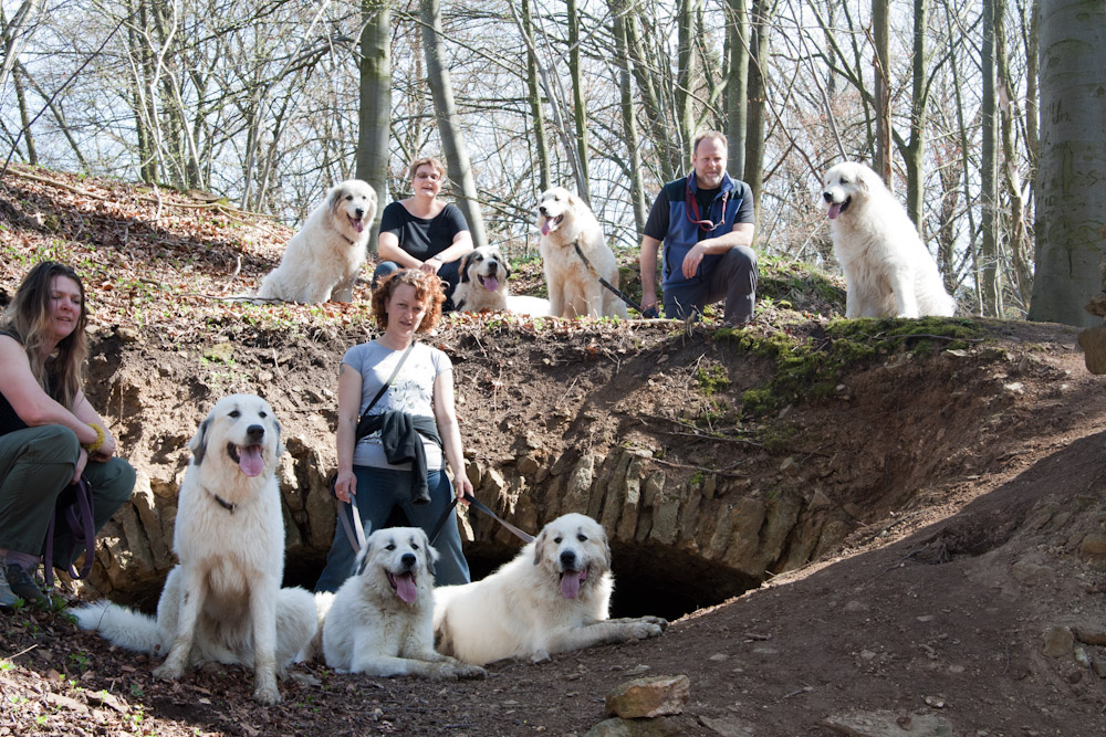 Pyrenäenberghund - Welpenspaziergang April 2011 - Gruppenbild