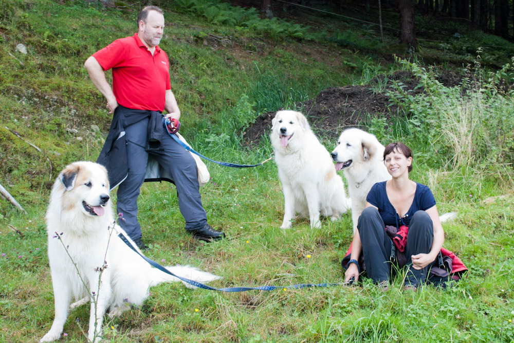 Pyrenäenberghund - Zu Besuch bei Balou August 2011 - Gruppenbild