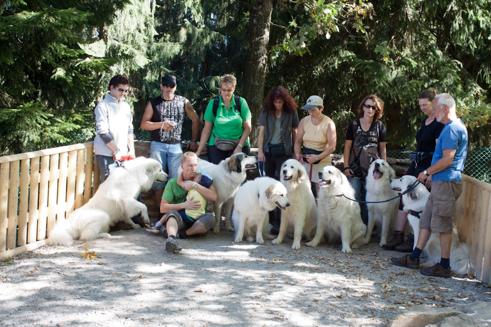 News und Bilder vom Pyrenäenberghund Welpentreffen 2011 - ... Tierpark Lohberg