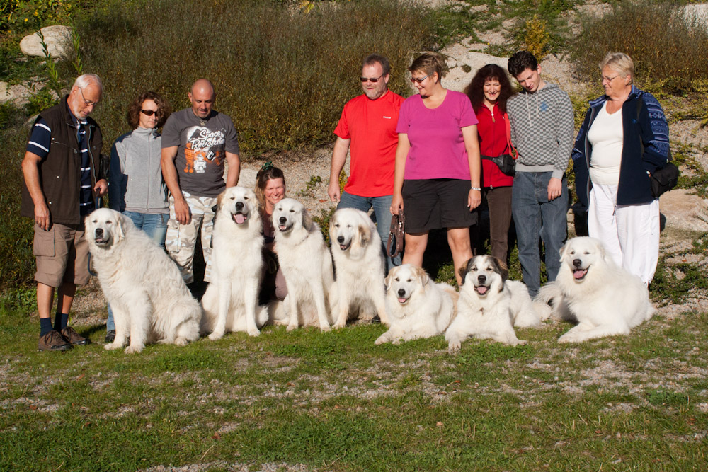 News und Bilder vom Pyrenäenberghund Welpentreffen 2011 - Gruppenbild