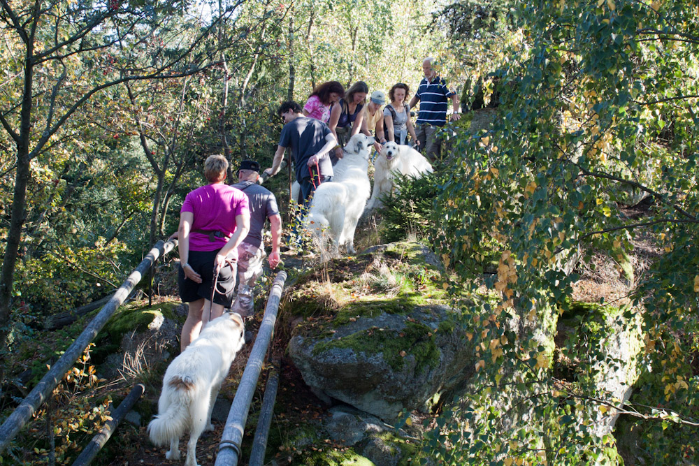 News und Bilder vom Pyrenäenberghund Welpentreffen 2011 - ... Steinernen Mauer