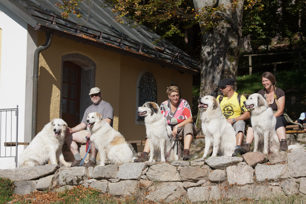 News und Bilder vom Pyrenäenberghund Welpentreffen 2011 - Guppenbild Wallfahrtskirchlein