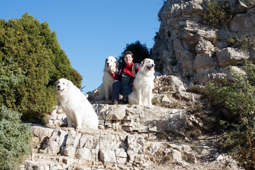 Urlaub mit Pyrenäenberghund November 2011 - Frankreich - Mondragon (Provence) - Mondragon1