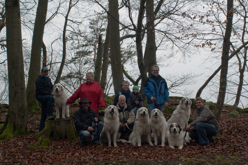 Pyrenäenberghund - Welpenspaziergang März 2012 - Gruppenbild