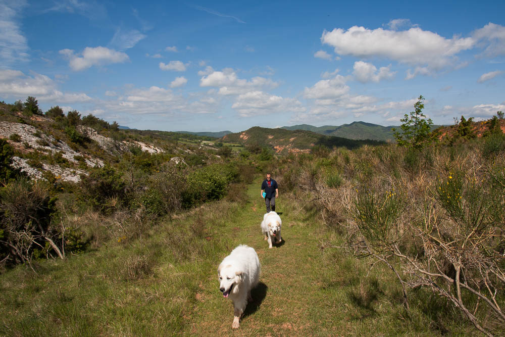 Urlaub mit Pyrenäenberghund Mai 2012 - Frankreich - Haute Vallée de l'Aude - Haute Vallée de l'Aude4