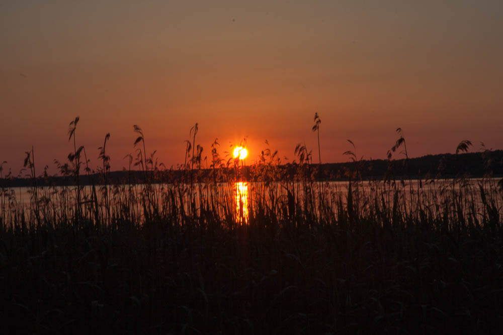 Urlaub mit Pyrenäenberghund Juni 2013 - Deutschland - Mecklenburgische Seenplatte - MeckPomm 4