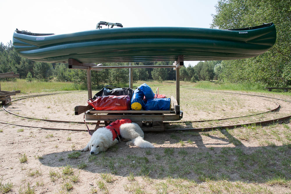 Urlaub mit Pyrenäenberghund Juni 2013 - Deutschland - Mecklenburgische Seenplatte - MeckPomm 5
