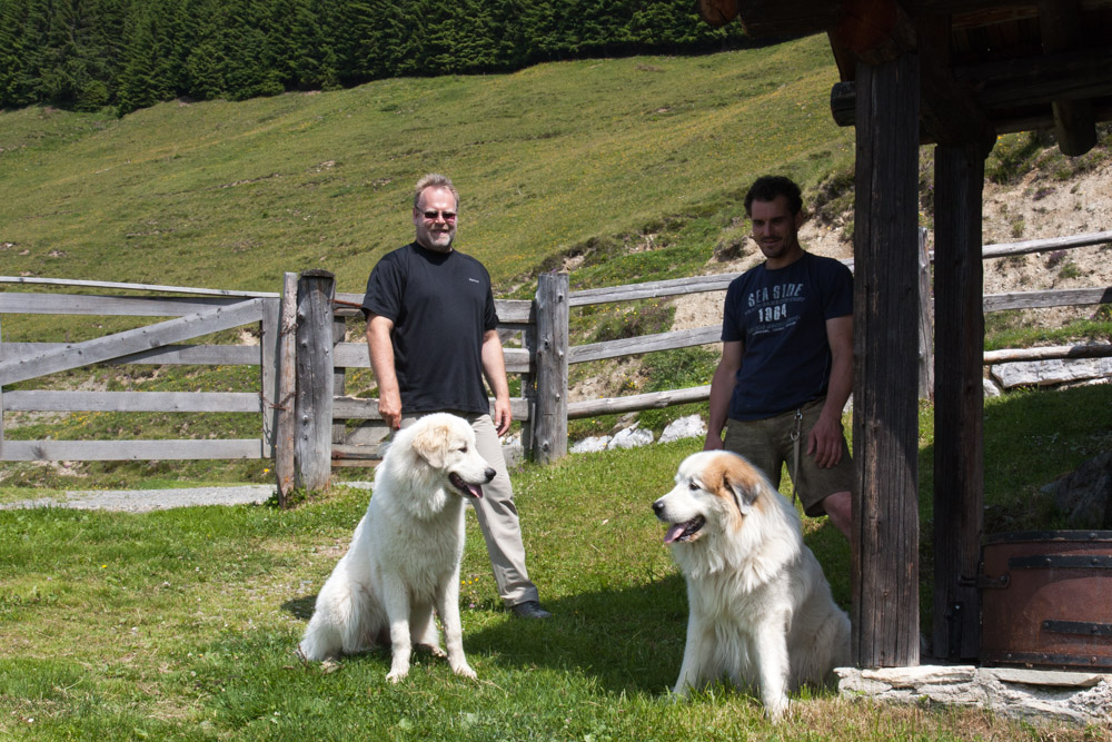 Pyrenäenberghund - Zu Besuch bei Balou 12./13./14.07.2013