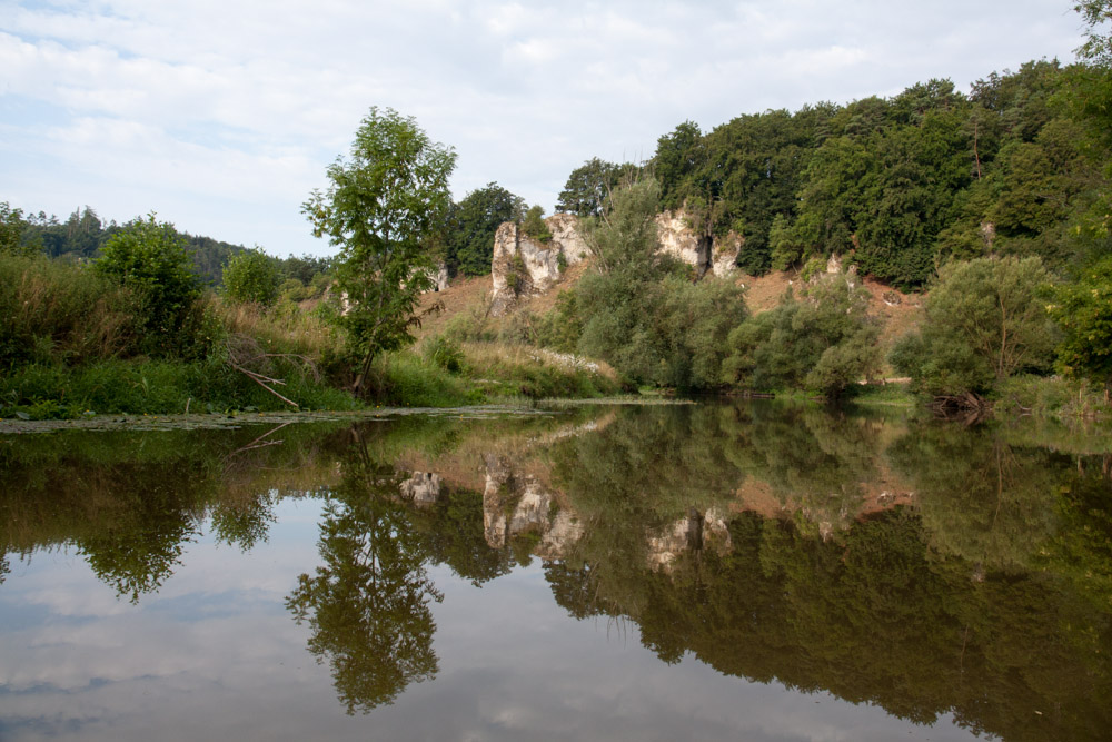 Pyrenäenberghund - Altmühl-Kanutour 26./27./28.07.2013