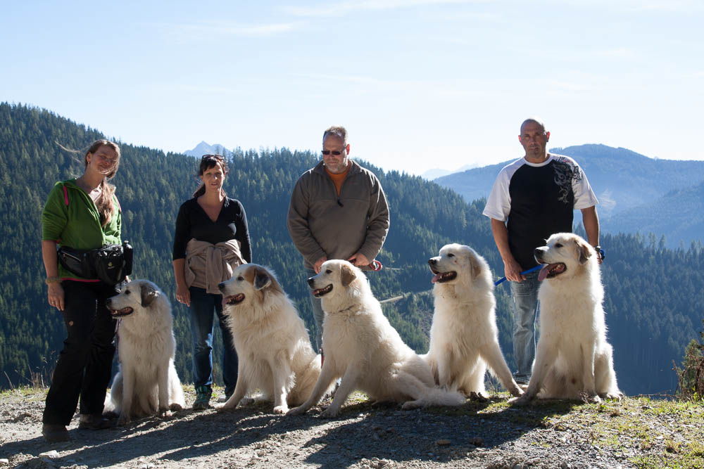 News und Bilder vom Pyrenäenberghund Welpentreffen 2013 - Gruppenbild am Donnerstag