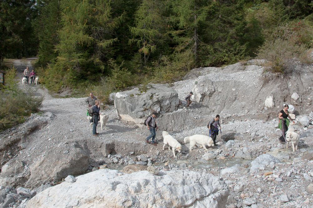 News und Bilder vom Pyrenäenberghund Welpentreffen 2013 - Eisbären in der Schlucht