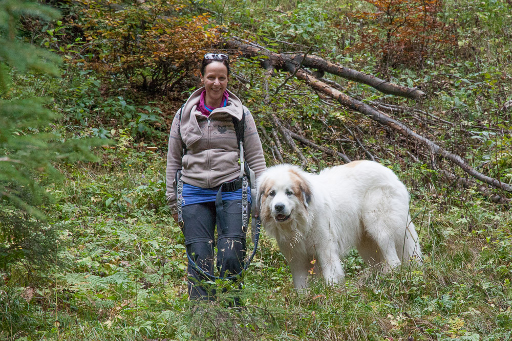 News und Bilder vom Pyrenäenberghund Welpentreffen 2013 - Balou