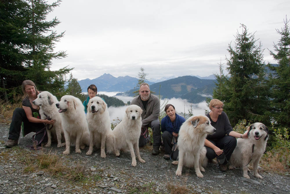 News und Bilder vom Pyrenäenberghund Welpentreffen 2013 - Gruppenbild am Samstag