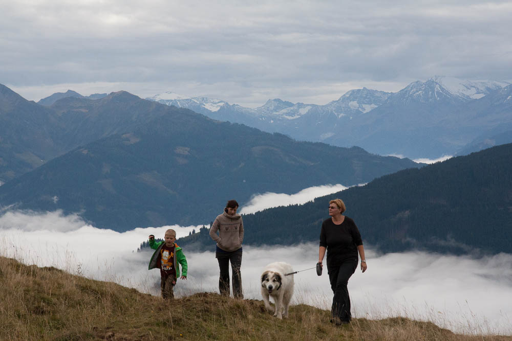 News und Bilder vom Pyrenäenberghund Welpentreffen 2013 - Über den Wolken