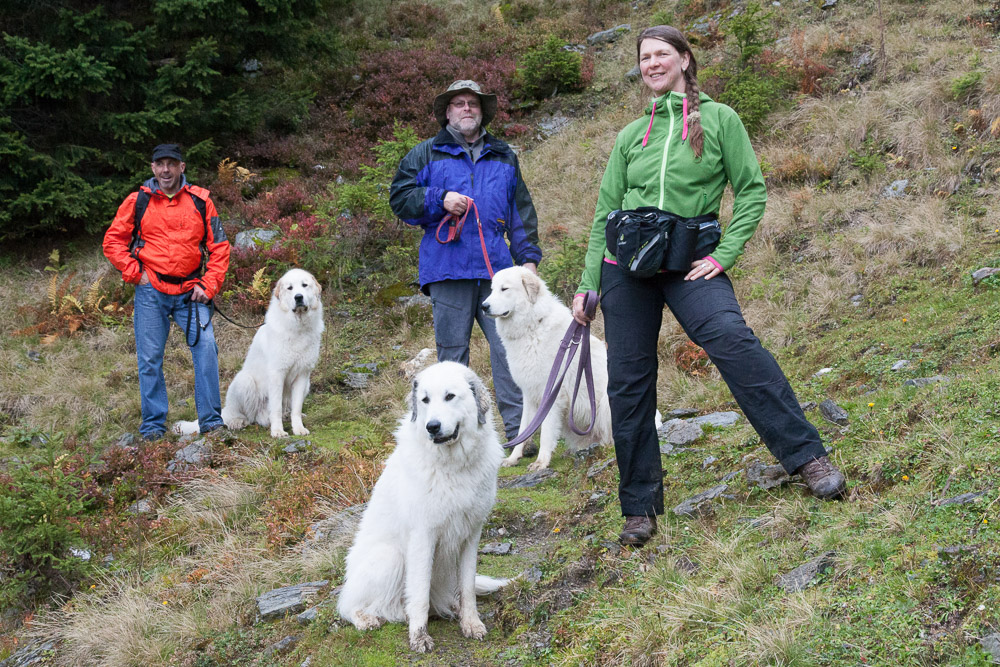 News und Bilder vom Pyrenäenberghund Welpentreffen 2013 - Cyrano, Héloise und Cécile