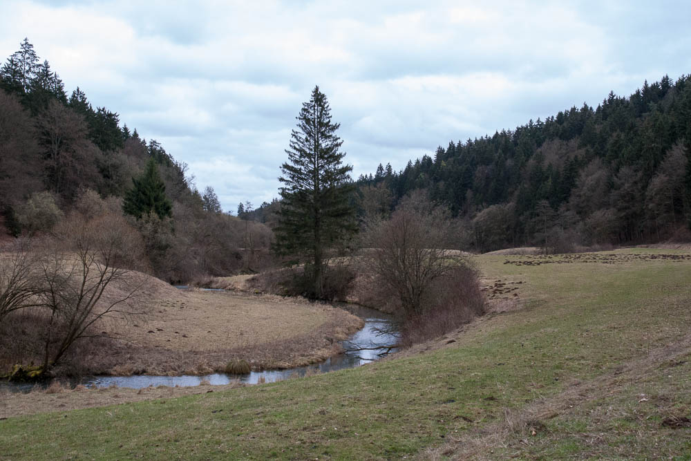 Pyrenäenberghund - Spaziergänge im Februar 2014