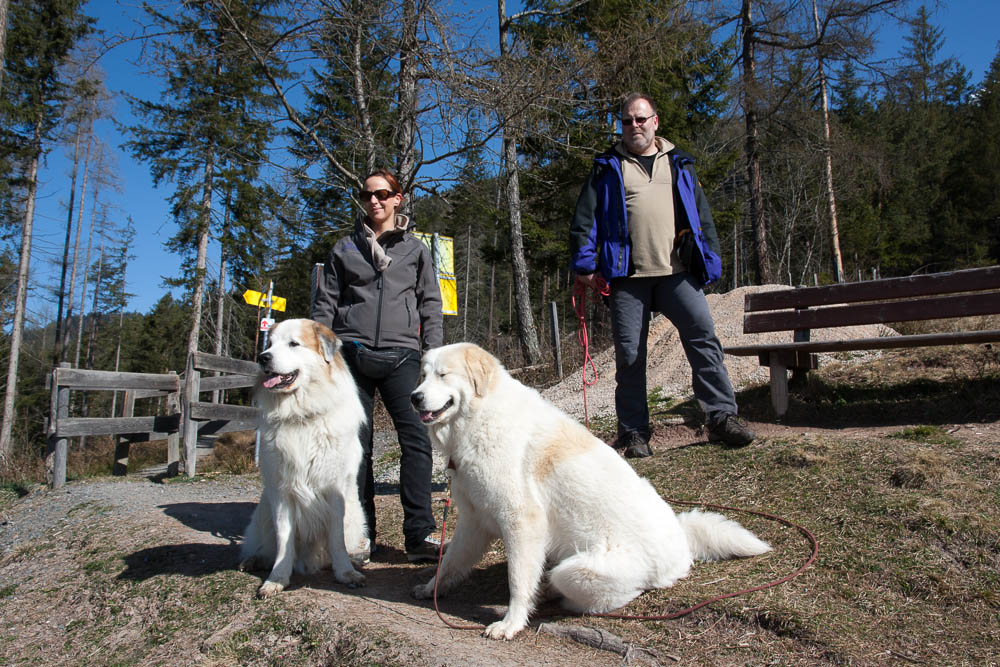 Pyrenäenberghund - Zu Besuch bei Balou 29./30.03.2014 - Gruppenbild