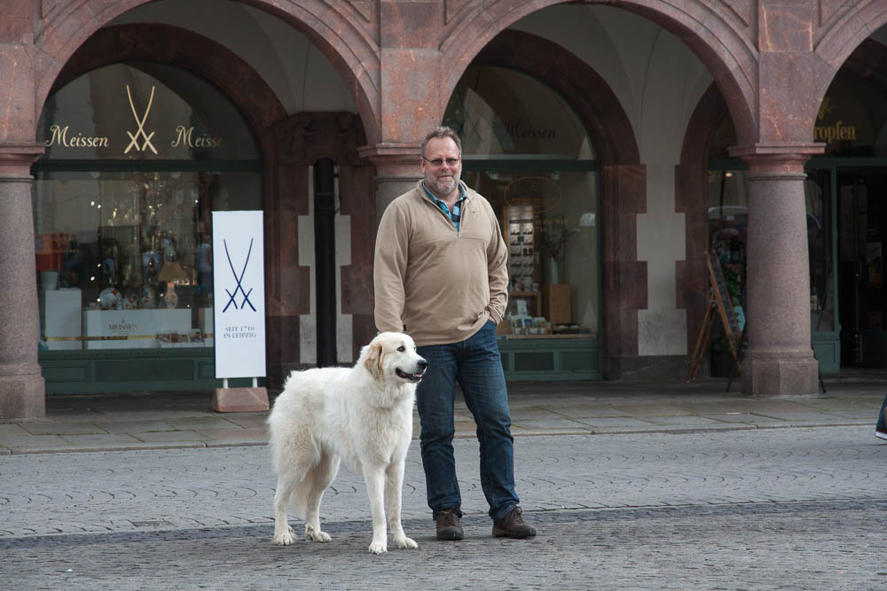 Pyrenäenberghund - German Winner Show Leipzig 23.08.2014 und Internationale Ausstellung Leipzig 24.08.2014