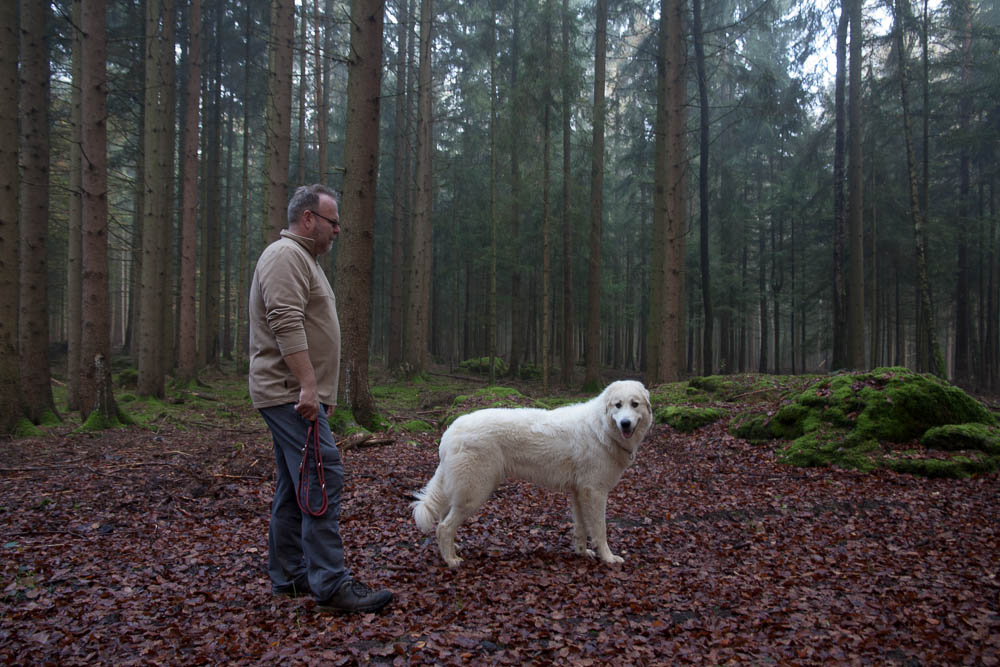 Pyrenäenberghund - Sonntagsspaziergänge - Gruppenbild