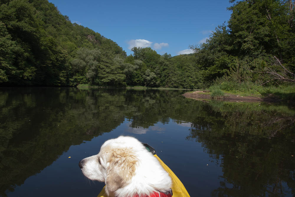 Urlaub mit Pyrenäenberghund Juni 2015 - Frankreich - Paddeln an der Dordogne und Wandern in St. Julien de Jordanne (Zentralmassiv, Cantal) - Heloise Dordogne