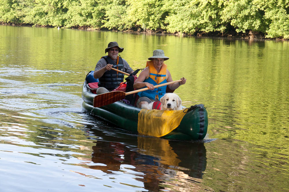 Urlaub mit Pyrenäenberghund Juni 2015 - Frankreich - Paddeln an der Dordogne und Wandern in St. Julien de Jordanne (Zentralmassiv, Cantal) - Dordogne2