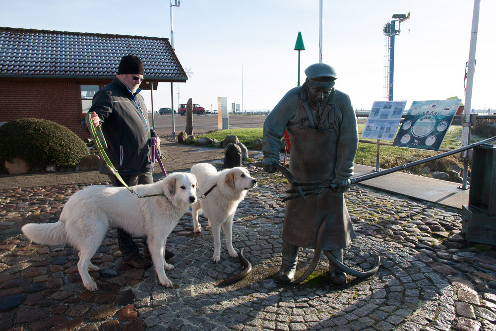 Urlaub mit Pyrenäenberghund Dezember 2016 - Schönhagen - Deutschland (Ostsee, Schleswig-Hostein)