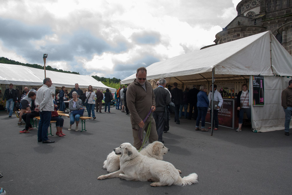 Urlaub mit Pyrenäenberghund Juni 2017 - Frankreich - Loire und Auvergne (Puy de Dôme) - Auvergne5