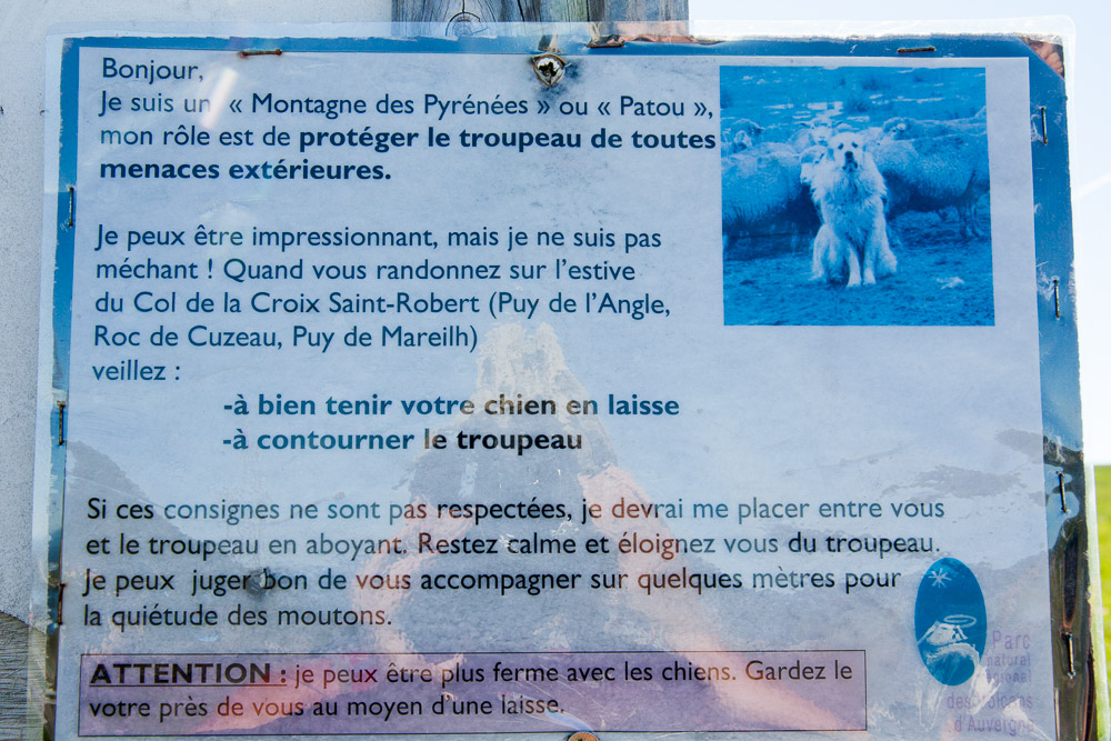 Urlaub mit Pyrenäenberghund Juni 2017 - Frankreich - Loire und Auvergne (Puy de Dôme) - Auvergne8