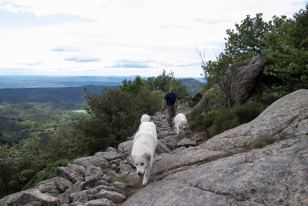 Urlaub mit Pyrenäenberghund Juni 2018 - Frankreich - Largentière – Les Monts de l‘Ardèche - Ardeche2