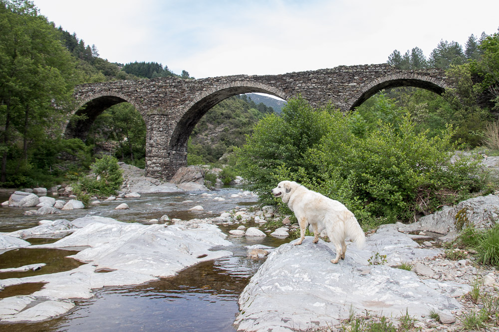 Urlaub mit Pyrenäenberghund Juni 2018 - Frankreich - Largentière – Les Monts de l‘Ardèche - Ardeche1