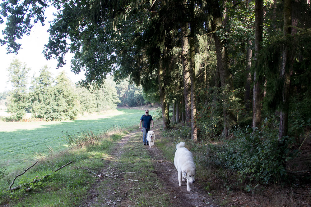 Pyrenäenberghund - 09. September 2018 Wanderung Nittenau Jugenberg - Gruppenbild