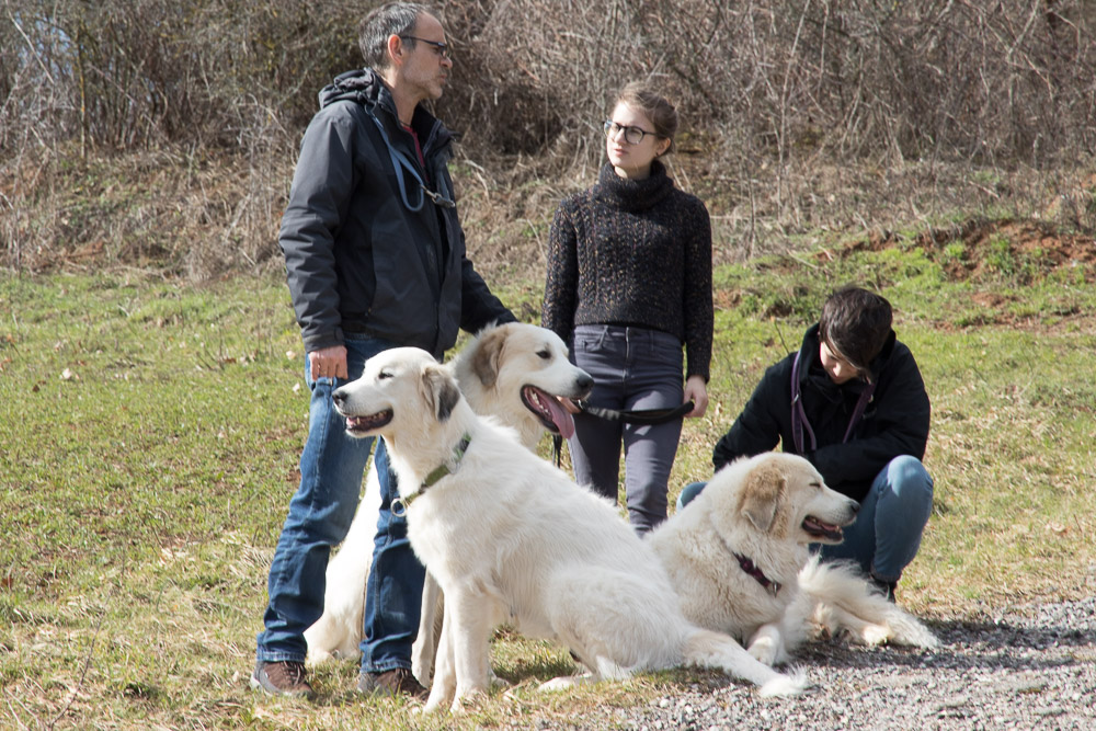 Pyrenäenberghund - 17. März 2019 Besuch von Emile