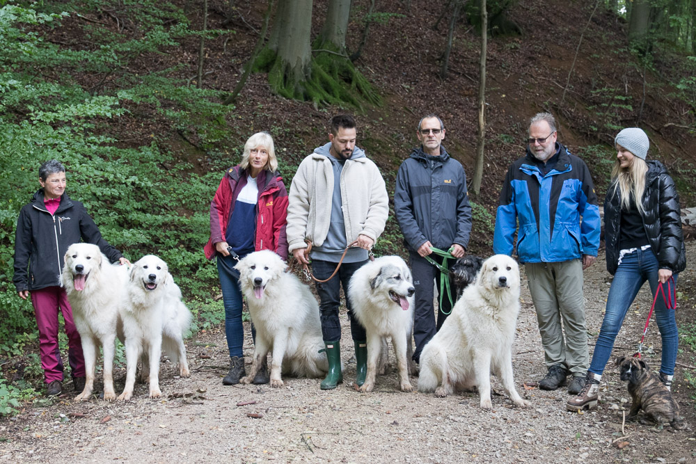 Pyrenäenberghund - 06. Oktober 2019 - Hundetreffen - Gruppenbild
