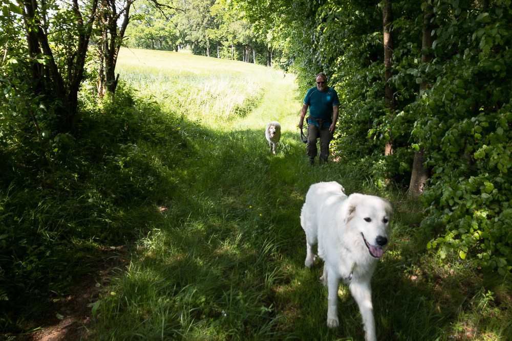 Urlaub mit Pyrenäenberghund - Mai 2020  - Altmühltal22