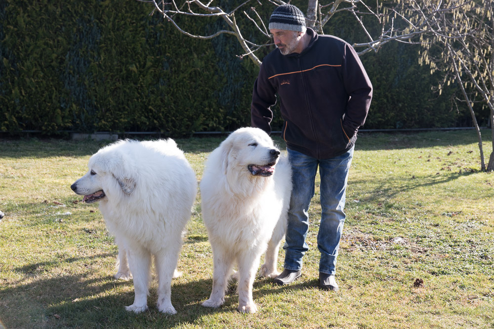 Pyrenäenberghund - 09. Februar 2020 - Zu Besuch bei Hadrien und Dina - Gruppenbild