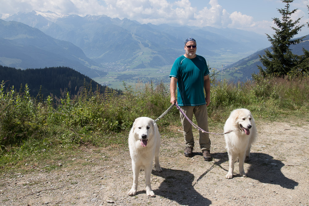 Pyrenäenberghund - 7. bis 10. August 2020 - Zell am See/Österreich