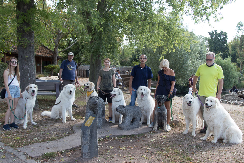 Pyrenäenberghund - 15./16. August 2020 - Zu Besuch bei Freddie und Besuch des Tiergartens Worms - Gruppenbild